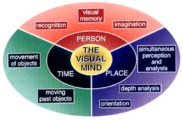 The Visual Mind