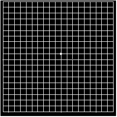 Types Of Amsler Grid Chart